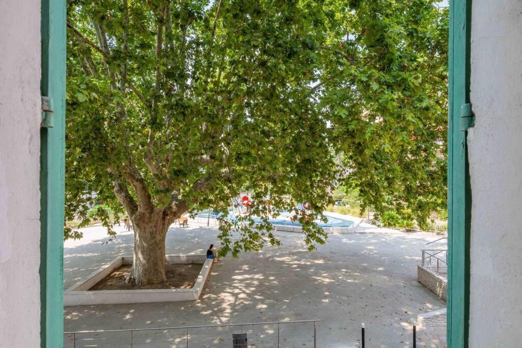 Le Vallombrosa T2 Cannes Exteriör bild